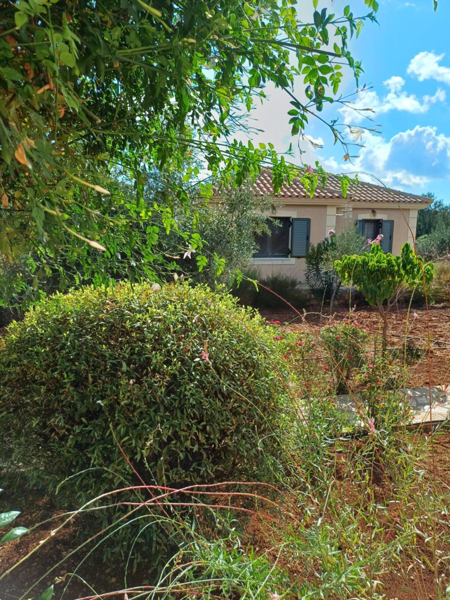 Korallis Villas Karavádhos Pokój zdjęcie